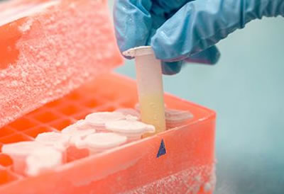 RFID Frozen Label